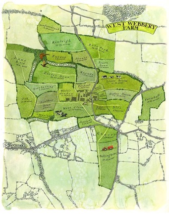 West Webbery map illustration.jpg