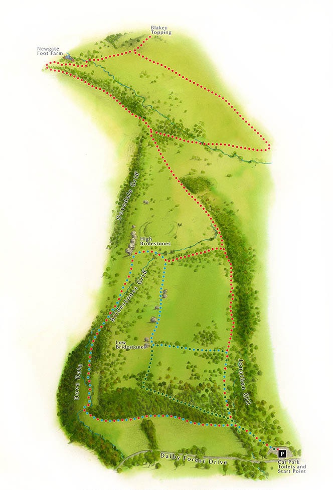 The National Trust : Illustrated Walks Series . Bridestones, North Yorkshire